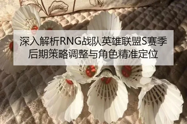 深入解析RNG战队英雄联盟S赛季后期策略调整与角色精准定位（RAY ESPORTS）
